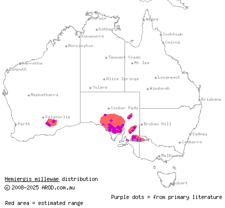 Triodia earless skink (Hemiergis millewae) distribution range map