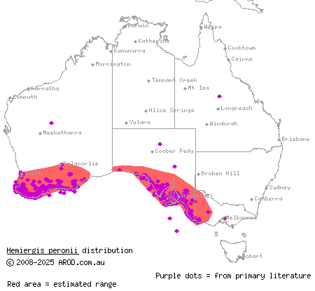 lowlands earless skink (Hemiergis peronii) distribution range map