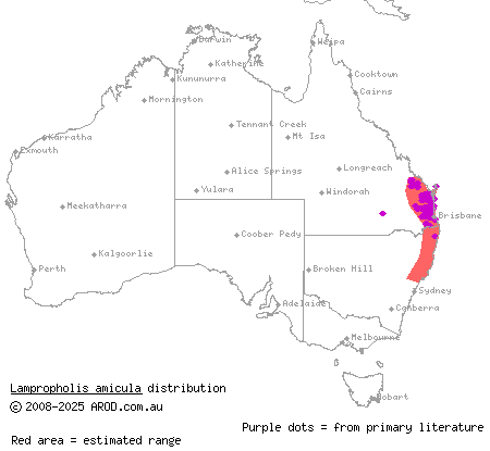 friendly sunskink (Lampropholis amicula) distribution range map