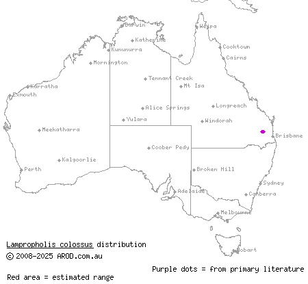 Bunya Mountains sunskink (Lampropholis colossus) distribution range map