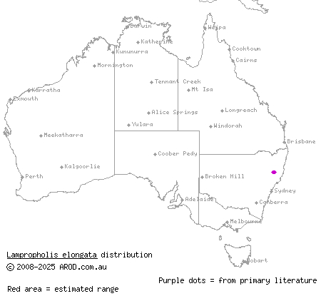 long sunskink (Lampropholis elongata) distribution range map