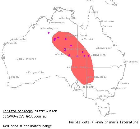 desert plain slider (Lerista aericeps) distribution range map