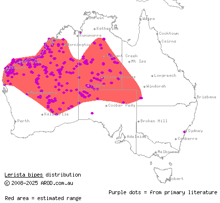 north-western sandslider (Lerista bipes) distribution range map