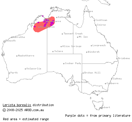 inland Kimberley slider (Lerista borealis) distribution range map