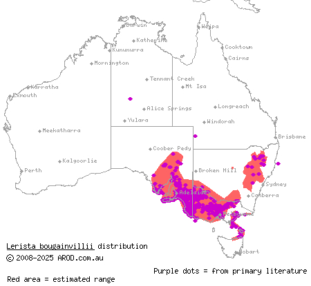 south-eastern slider (Lerista bougainvillii) distribution range map