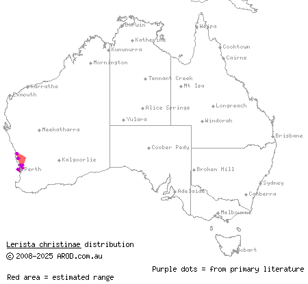 bold-striped slider (Lerista christinae) distribution range map