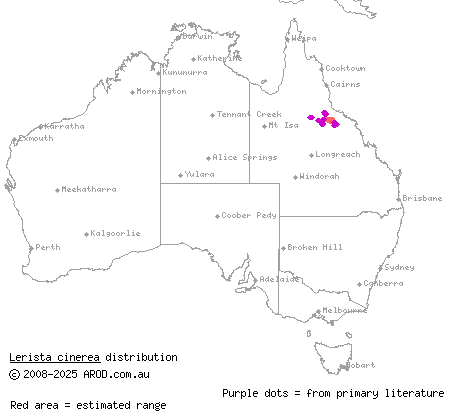 vine-thicket fine-lined slider (Lerista cinerea) distribution range map