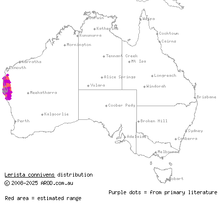 blinking broad-blazed slider (Lerista connivens) distribution range map