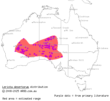 Central Deserts robust slider (Lerista desertorum) distribution range map