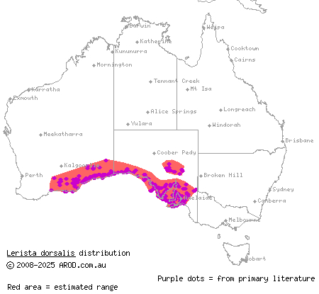 southern slider (Lerista dorsalis) distribution range map