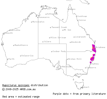 rainforest dragon (Hypsilurus spinipes) distribution range map