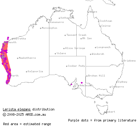 elegant slider (Lerista elegans) distribution range map