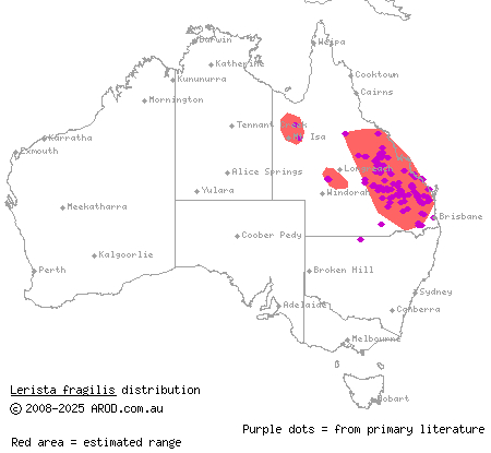 eastern mulch-slider (Lerista fragilis) distribution range map