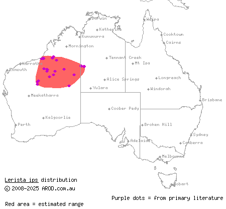 robust duneslider (Lerista ips) distribution range map