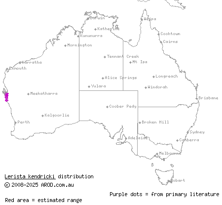 dark broad-blazed slider (Lerista kendricki) distribution range map