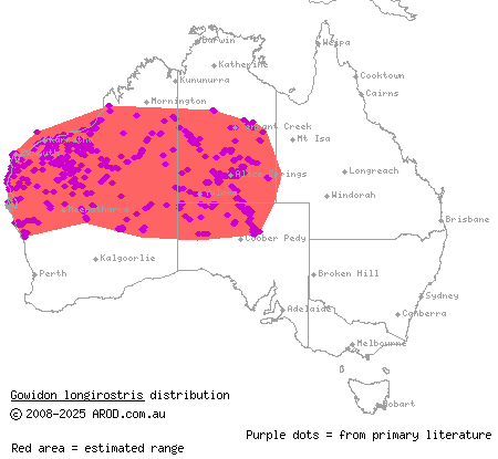 long-nosed dragon (Gowidon longirostris) distribution range map