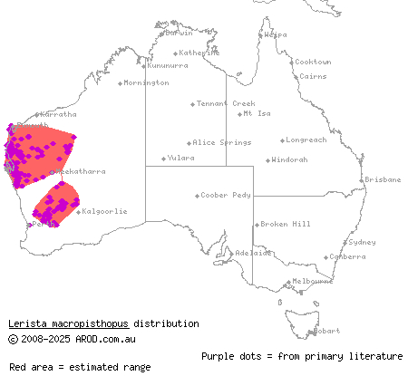 unpatterned robust slider (Lerista macropisthopus) distribution range map