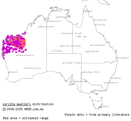 wood mulch-slider (Lerista muelleri) distribution range map