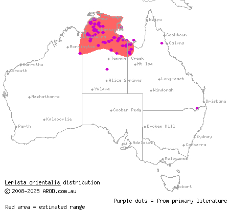 north-eastern orange-tailed slider (Lerista orientalis) distribution range map