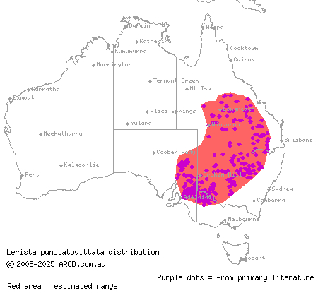 eastern robust slider (Lerista punctatovittata) distribution range map