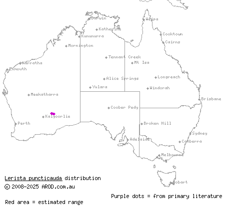 dotty-tailed robust slider (Lerista puncticauda) distribution range map