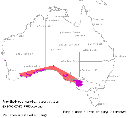 mallee tree dragon (Amphibolurus norrisi) distribution range map