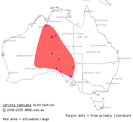 ribbon slider (Lerista taeniata) distribution range map