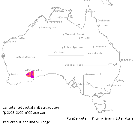 dark-backed mulch slider (Lerista tridactyla) distribution range map