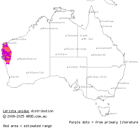 slender broad-blazed slider (Lerista uniduo) distribution range map