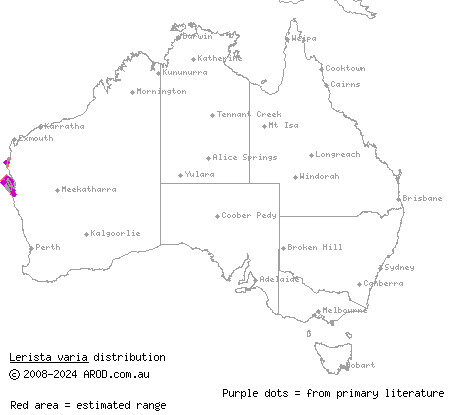 Shark Bay broad-blazed slider (Lerista varia) distribution range map