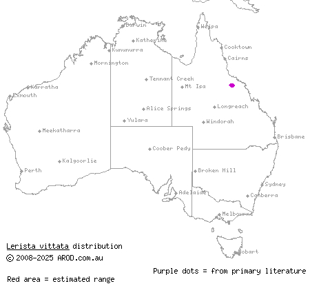 side-striped fine-lined slider (Lerista vittata) distribution range map