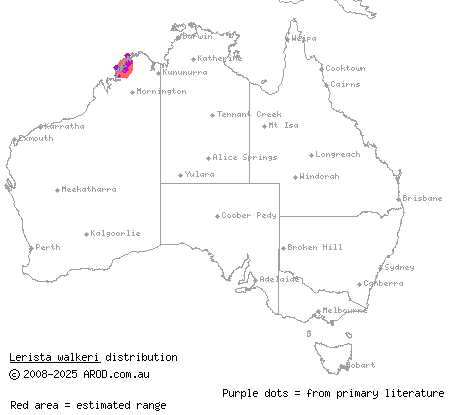 Coastal Kimberley slider (Lerista walkeri) distribution range map