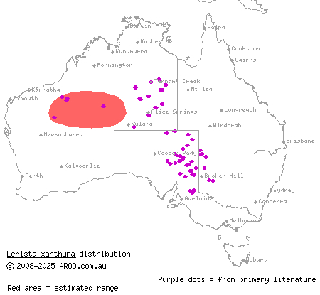 yellow-tailed plain slider (Lerista xanthura) distribution range map