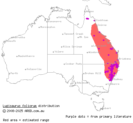 iridescent litter-skink (Lygisaurus foliorum) distribution range map