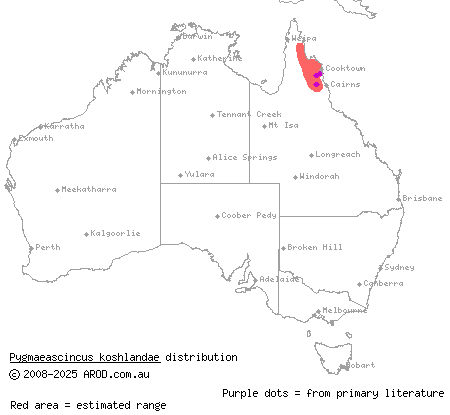 fine-browed dwarf skink (Pygmaeascincus koshlandae) distribution range map