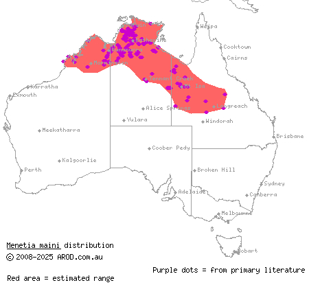 northern dwarf skink (Menetia maini) distribution range map