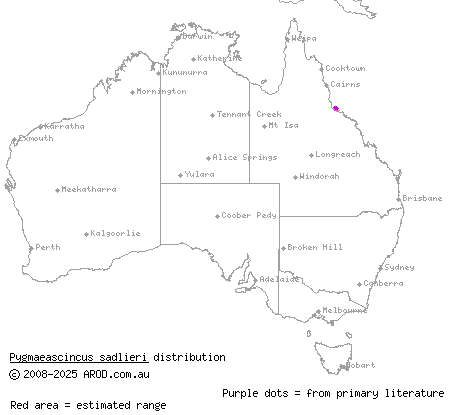 Magnetic Island dwarf skink (Pygmaeascincus sadlieri) distribution range map