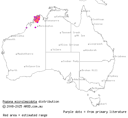 small-scaled bearded dragon (Pogona microlepidota) distribution range map