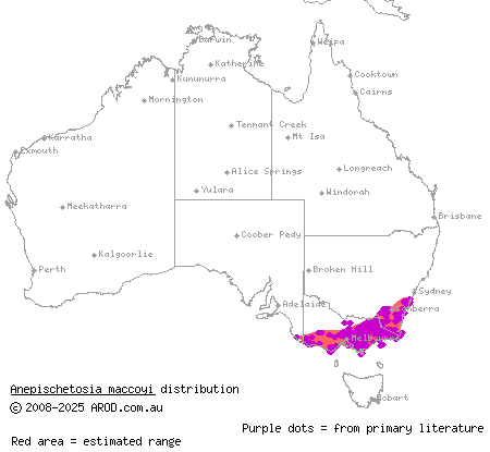 highlands forest-skink (Anepischetosia maccoyi) distribution range map