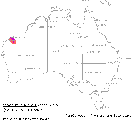 lined soil-crevice skink (Notoscincus butleri) distribution range map