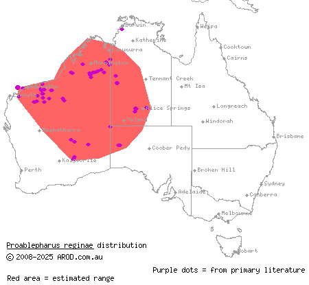 western soil-crevice skink (Proablepharus reginae) distribution range map