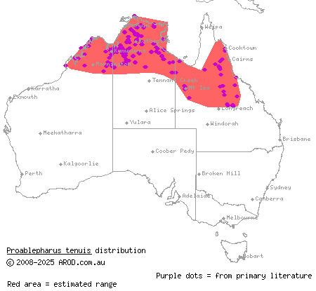 northern soil-crevice skink (Proablepharus tenuis) distribution range map