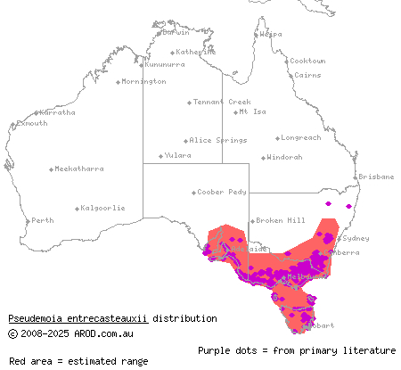 southern grass skink (Pseudemoia entrecasteauxii) distribution range map