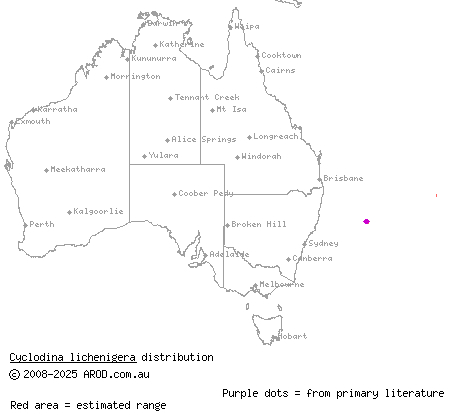 Lord Howe Island skink (Cyclodina lichenigera) distribution range map