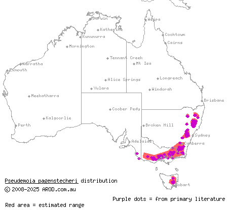 tussock skink (Pseudemoia pagenstecheri) distribution range map