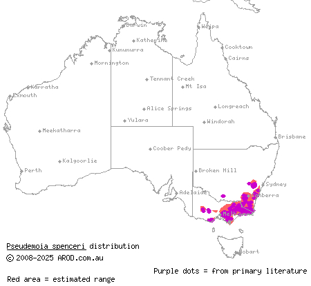 trunk-climbing cool-skink (Pseudemoia spenceri) distribution range map