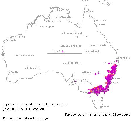 weasel skink (Saproscincus mustelinus) distribution range map