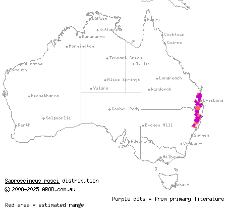 Rose's shadeskink (Saproscincus rosei) distribution range map