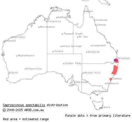 pale-lipped shadeskink (Saproscincus spectabilis) distribution range map