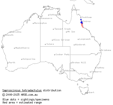 four-fingered shadeskink (Saproscincus tetradactylus) distribution range map